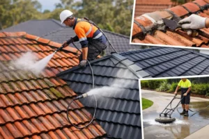 Roof Maintenance Services That Prevent Costly Repairs
